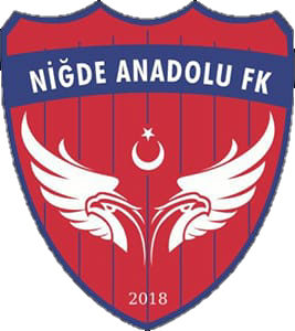 NİĞDE ANADOLU FK