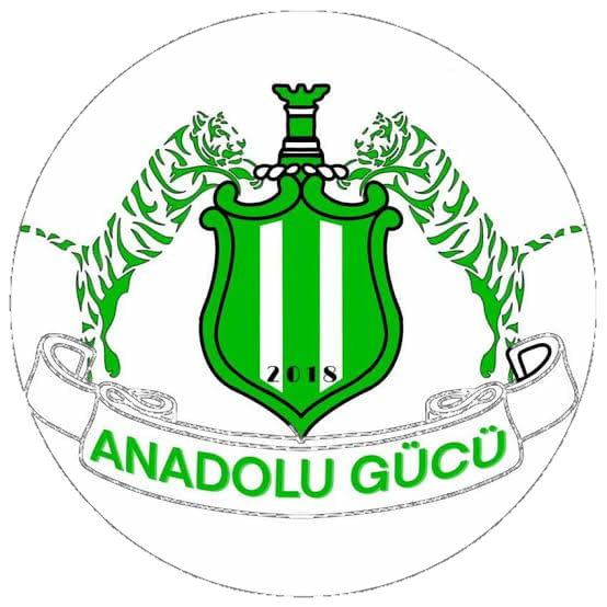 ANADOLU GÜCÜ