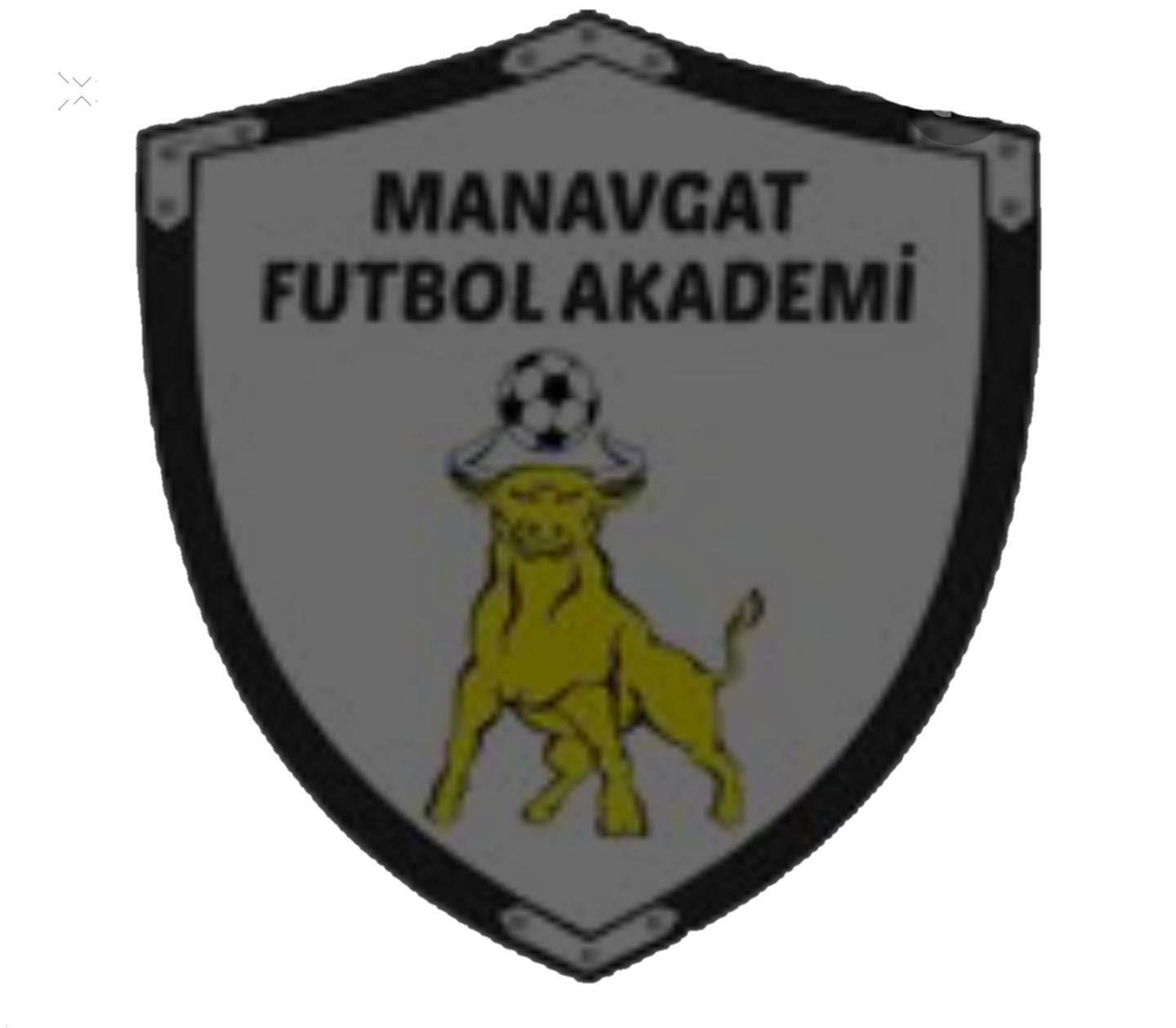 MANAVGAT FUTBOL AKADEMİ