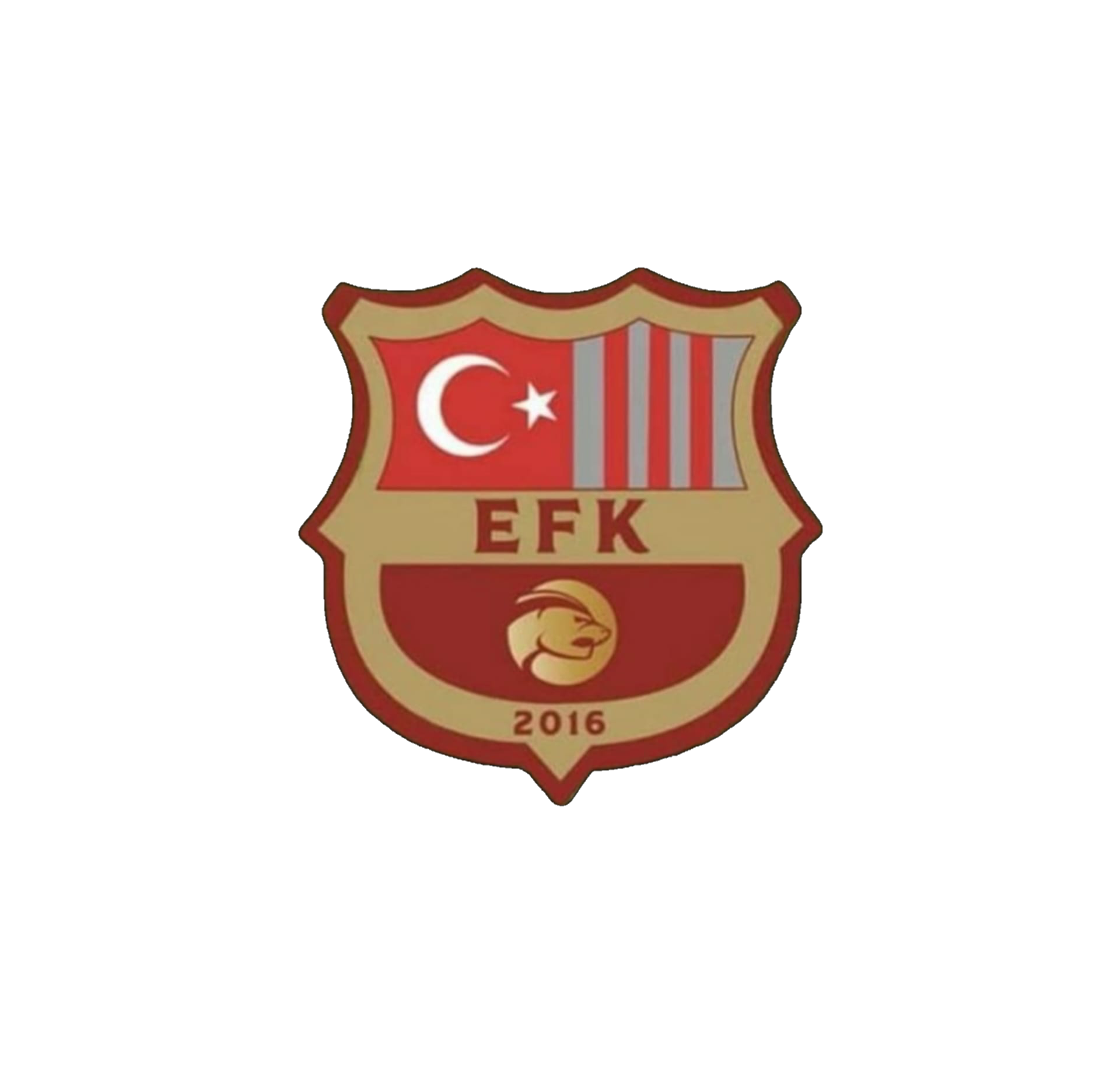 ESKİŞEHİR ELİT F.K.