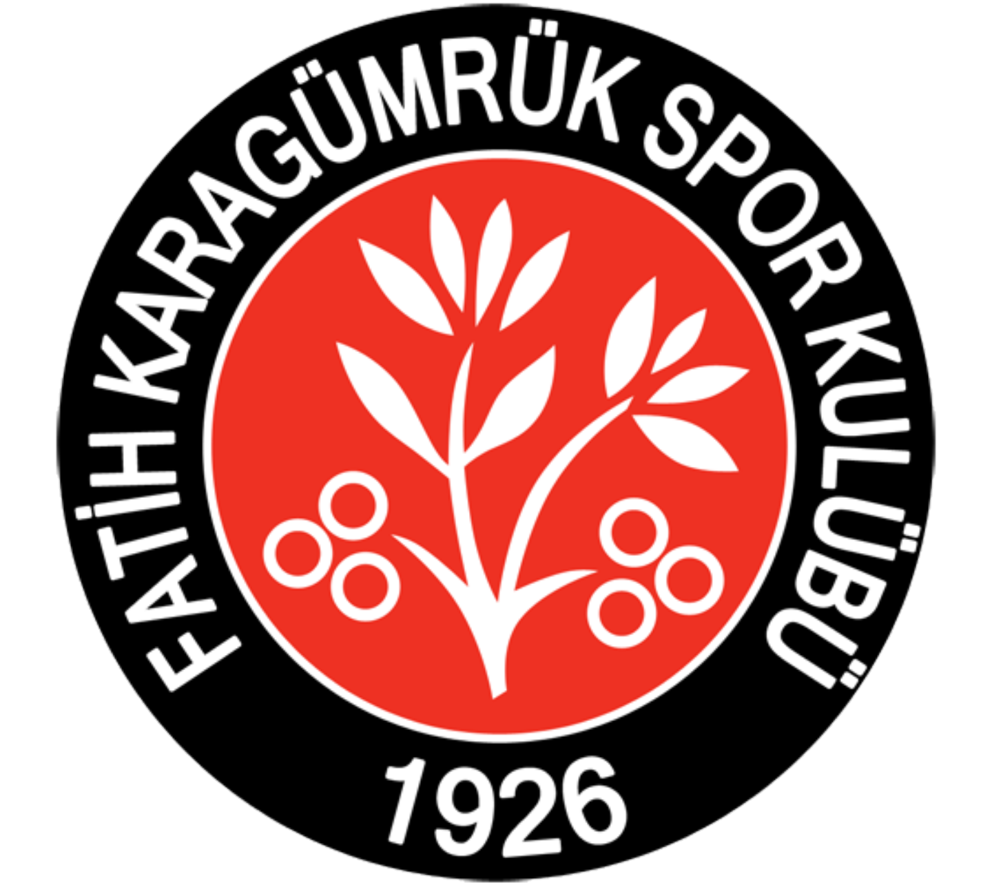 FATİH KARAGÜMRÜK S.K.